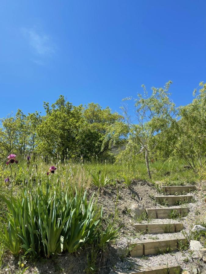 Estive Des Angelettes Piscine Chauffee Sauna Saint-Ferréol-Trente Buitenkant foto